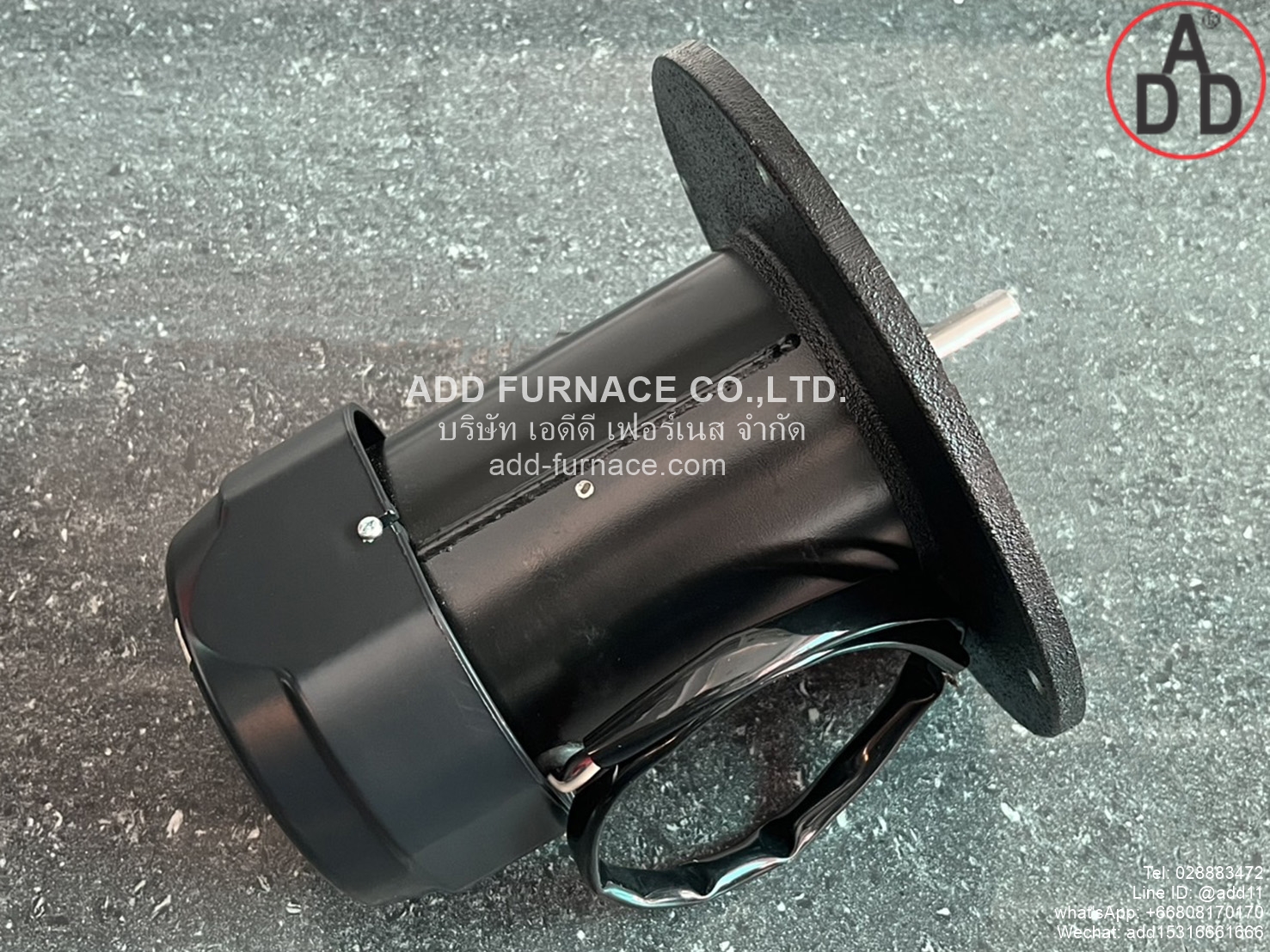 Pilot Burner Motor 220V 200W 2Pole (5)